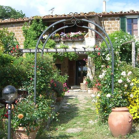 Le Querciolaie Monte Cavallo - Upper Apartment 萨杜勒尼亚 外观 照片