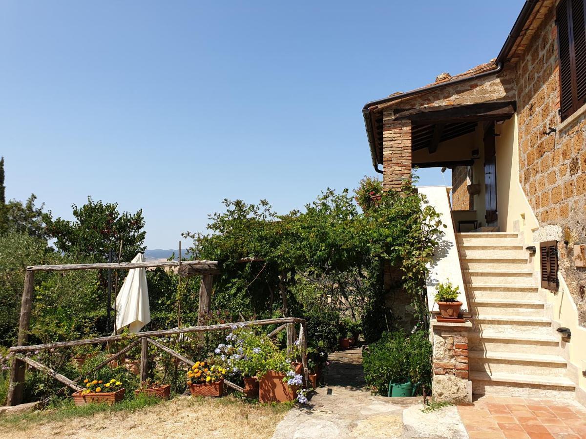 Le Querciolaie Monte Cavallo - Upper Apartment 萨杜勒尼亚 外观 照片