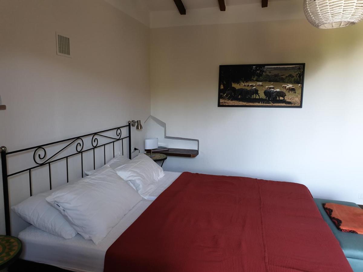 Le Querciolaie Monte Cavallo - Upper Apartment 萨杜勒尼亚 外观 照片